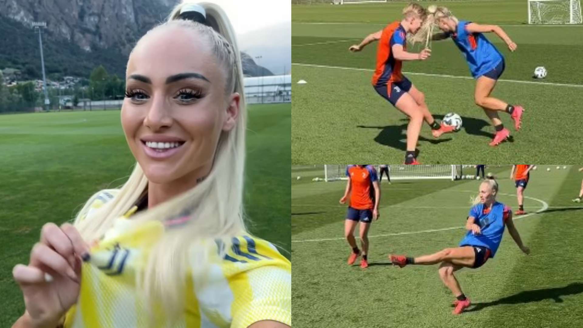 具备的技术 具备的技术